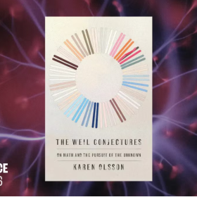 Image of The Weil Conjectures Book Cover