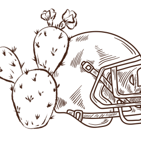 Cactus Plant and Football Helmet
