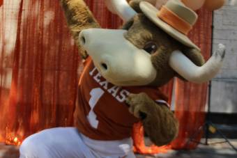 Bevo mascot