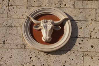 Bevo Detail on Cactus Cafe