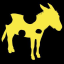 Burro